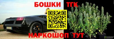 хмурый Заводоуковск