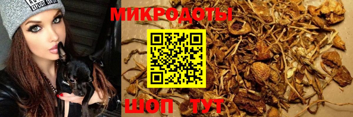 Псилоцибиновые грибы мицелий  Вход с VPN  Дзержинский 